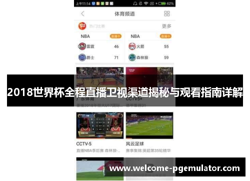 2018世界杯全程直播卫视渠道揭秘与观看指南详解