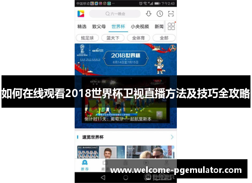 如何在线观看2018世界杯卫视直播方法及技巧全攻略