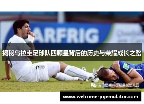 揭秘乌拉圭足球队四颗星背后的历史与荣耀成长之路