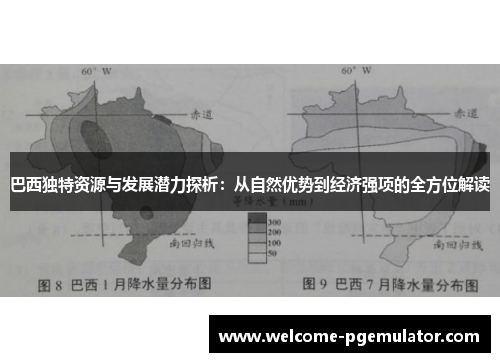 巴西独特资源与发展潜力探析：从自然优势到经济强项的全方位解读