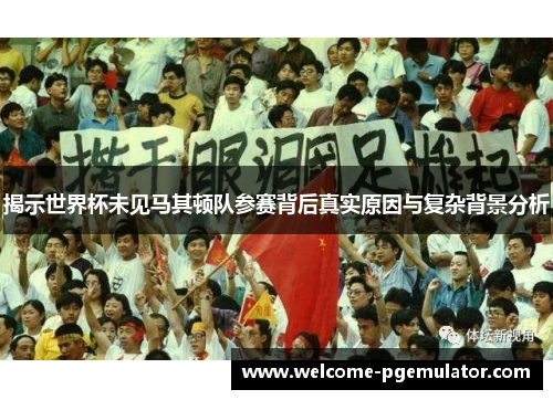 揭示世界杯未见马其顿队参赛背后真实原因与复杂背景分析