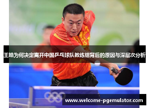 王皓为何决定离开中国乒乓球队教练组背后的原因与深层次分析