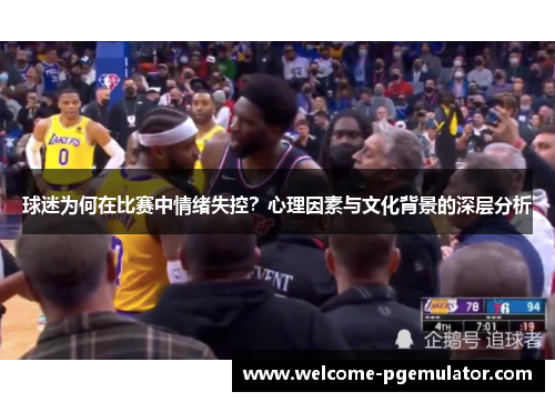 球迷为何在比赛中情绪失控？心理因素与文化背景的深层分析