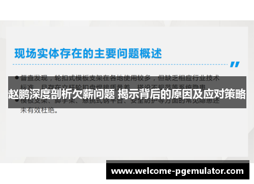 赵鹏深度剖析欠薪问题 揭示背后的原因及应对策略