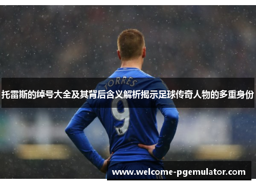 托雷斯的绰号大全及其背后含义解析揭示足球传奇人物的多重身份