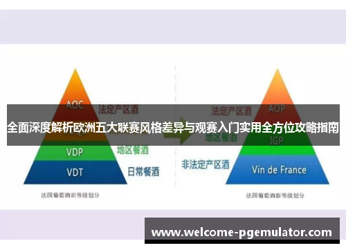 全面深度解析欧洲五大联赛风格差异与观赛入门实用全方位攻略指南