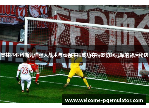 奥林匹亚科斯凭借强大战术与顽强拼搏成功夺得欧协联冠军的背后秘诀