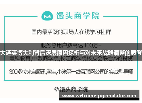 大连英博失利背后深层原因探析与对未来战略调整的思考