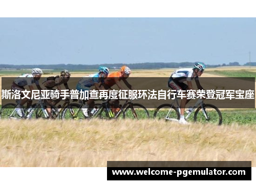 斯洛文尼亚骑手普加查再度征服环法自行车赛荣登冠军宝座