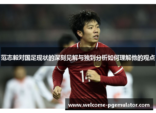 范志毅对国足现状的深刻见解与独到分析如何理解他的观点