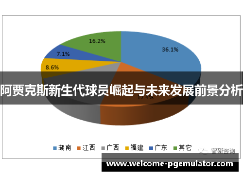 阿贾克斯新生代球员崛起与未来发展前景分析